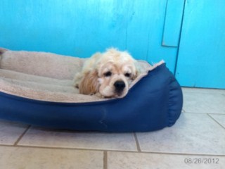 Daisy Mae