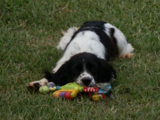 Maggie1