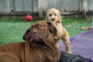 izzyandjax