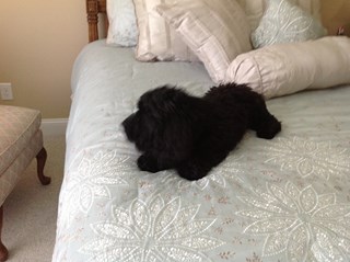 photo1