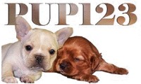 pup123