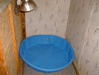 t_nursery4