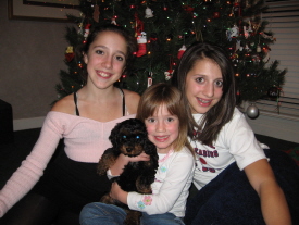 Our Happy Families