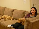 Our Happy Families