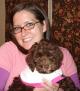 cockapoo puppies